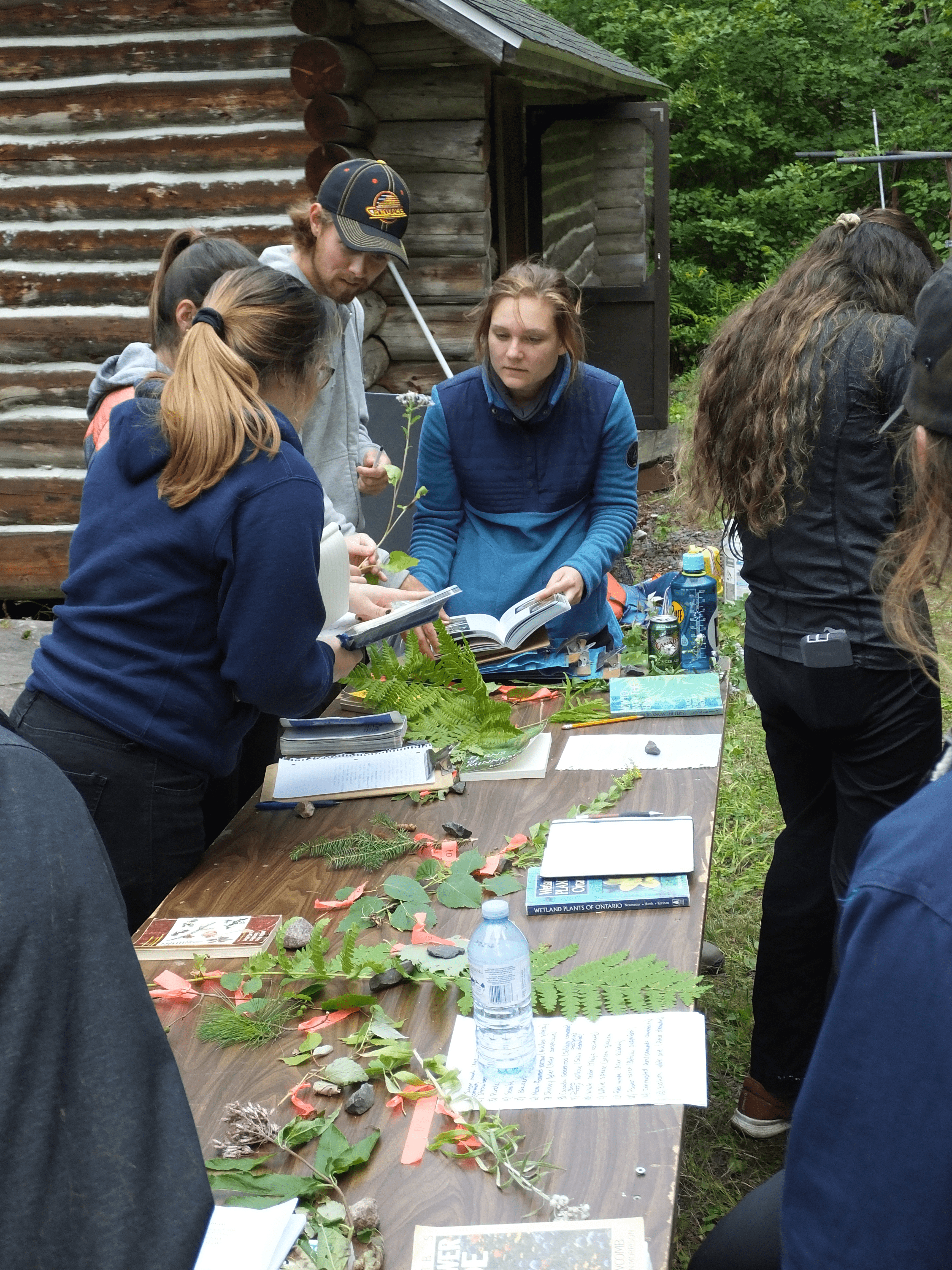 Un groupe d'étudiants étudiant les plantes à l'extérieur