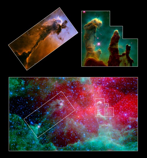 Stellar Universe