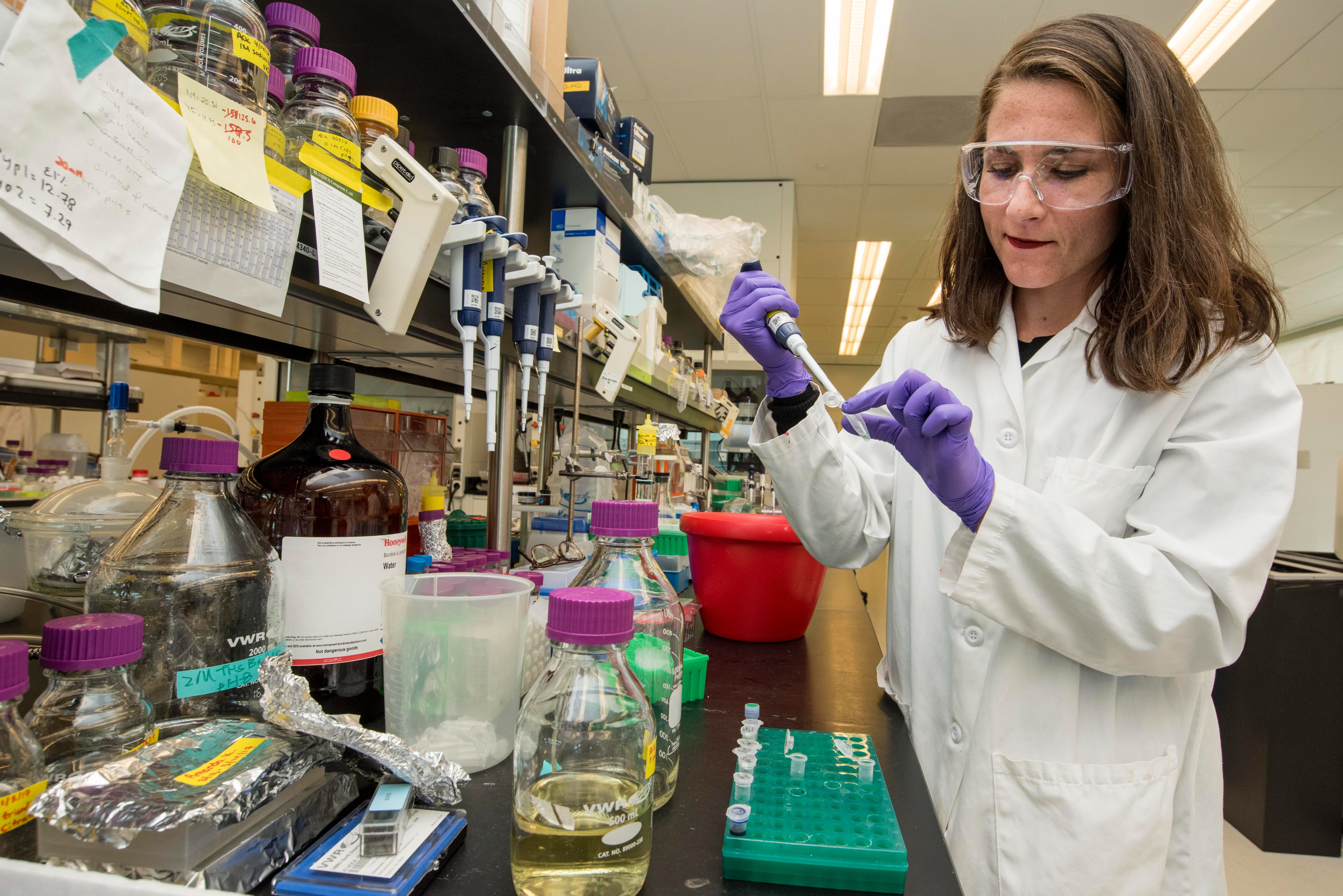 Un étudiant travaillant sur la paillasse d'un laboratoire scientifique avec diverses substances.