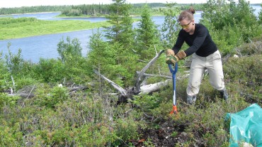 K. Garrah, étudiant en maîtrise, prélève des échantillons de sol le long de la rivière Attawapiskat pour l'étude des conditions de référence.
