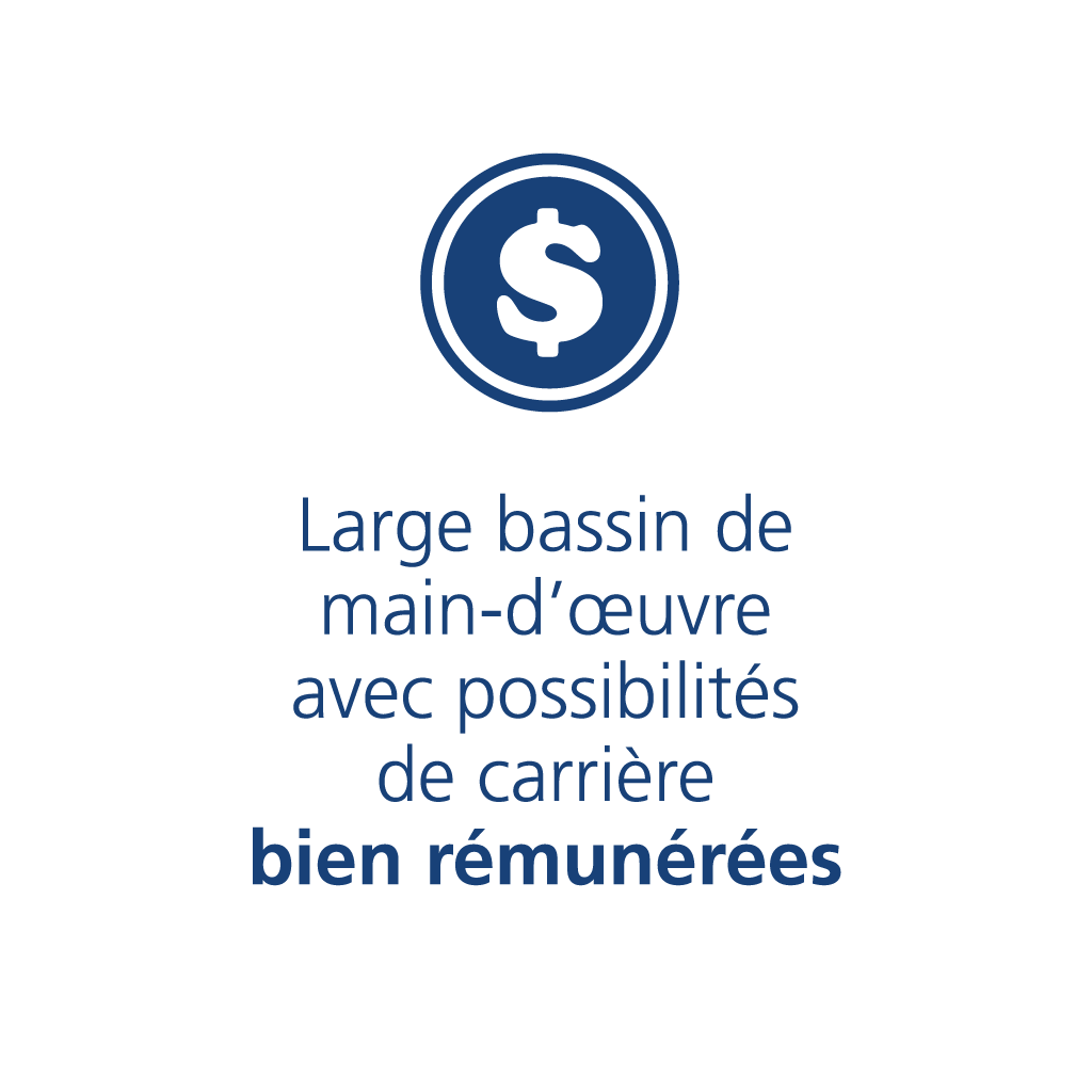 Une icône représentant un symbole d'argent avec le texte : Une base d'emploi importante avec des opportunités de carrière bien rémunérées.