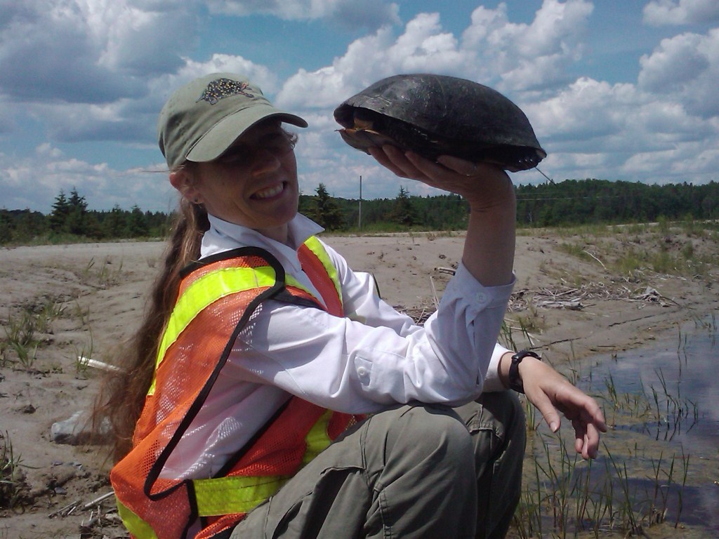 Photo de la lauréate Jacqueline Litzgus sur le terrain tenant une tortue dans sa main