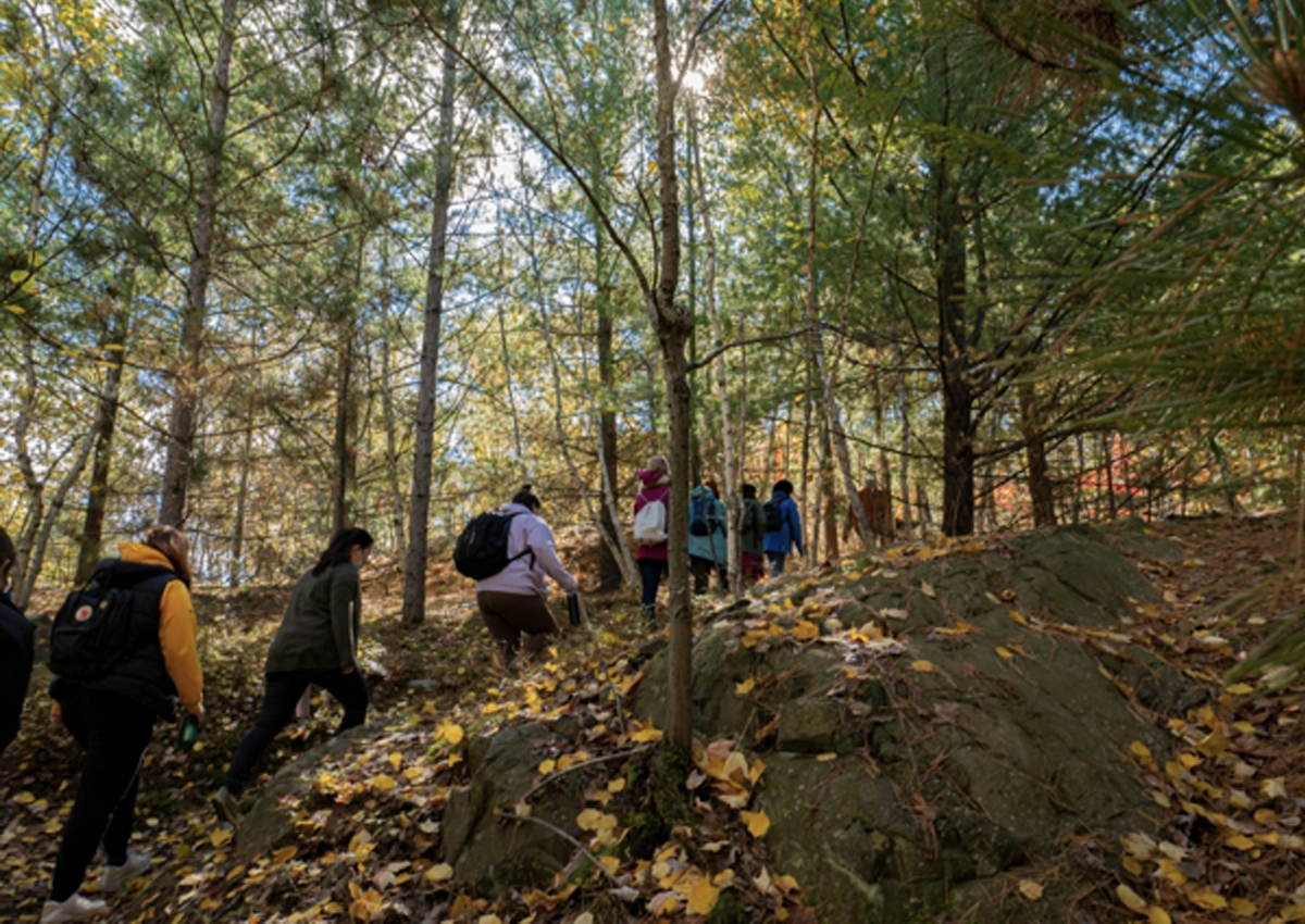 Students walk along a trail in a forest.