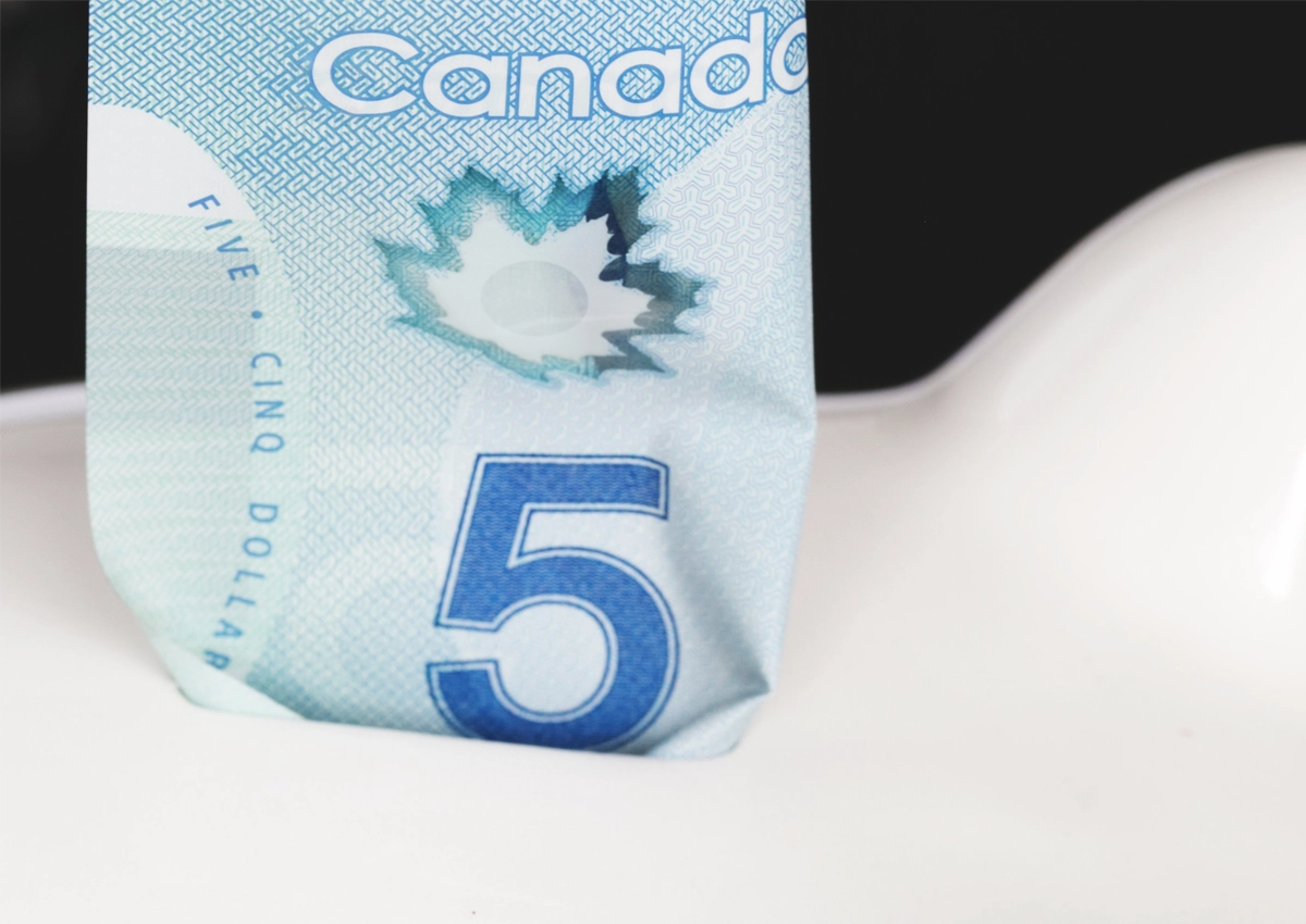 Un billet de cinq dollars canadiens dans une tirelire blanche en forme de cochon.