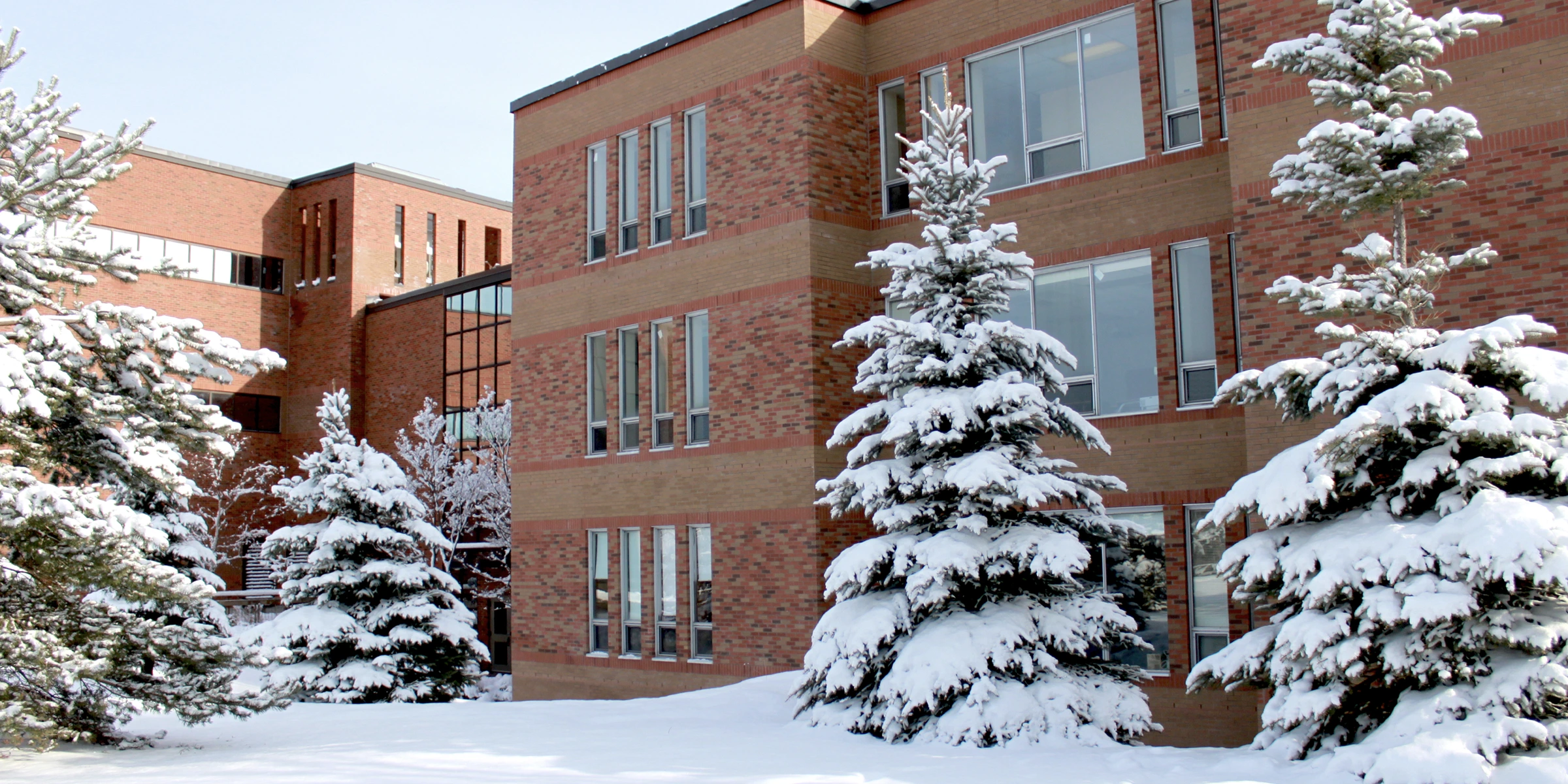 The Arts Building on the Laurentian University campus, surrounded by snowy pine trees.