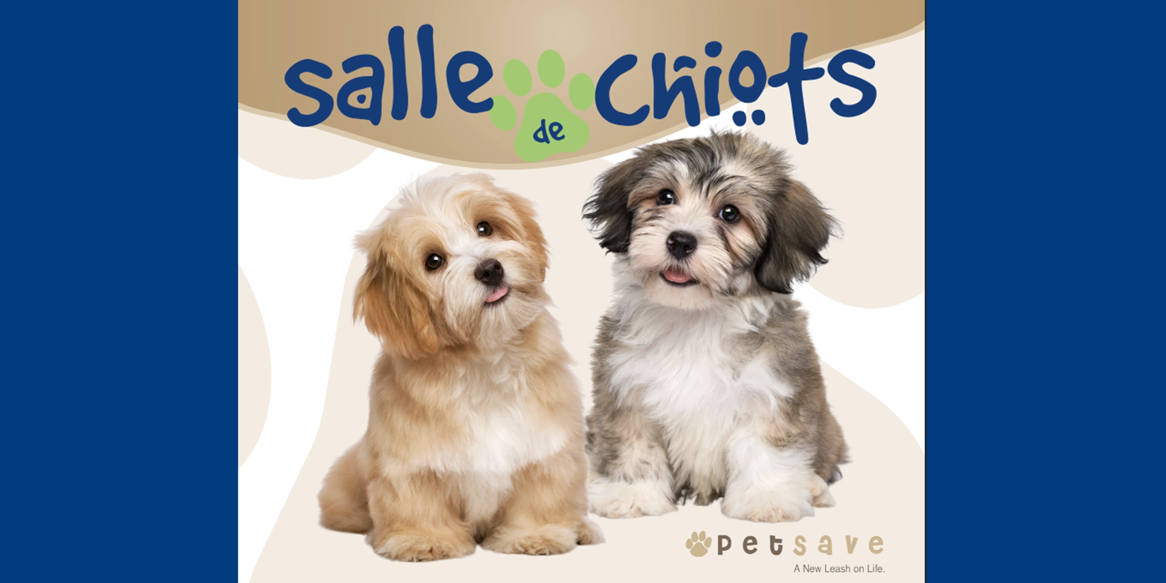 Graphisme promotionnel pour la salle des chiots, montrant deux chiots assis.