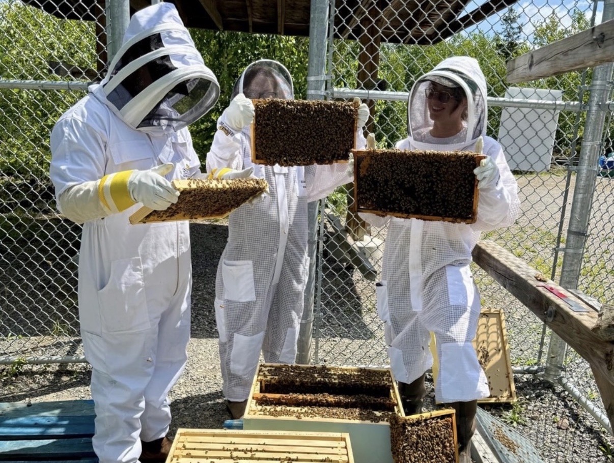 Three Laurentian University students—(from left to right) Christian Alvarez-Sierra, Jenna Legault, and Evyn Martin—stand in an outdoor apiary wearing full white protective beekeeping suits and mesh veils. They are each holding up a wooden hive frame covered in honey bees to inspect the health of the colony, with blue and yellow hive boxes stacked on wooden pallets in the foreground. 