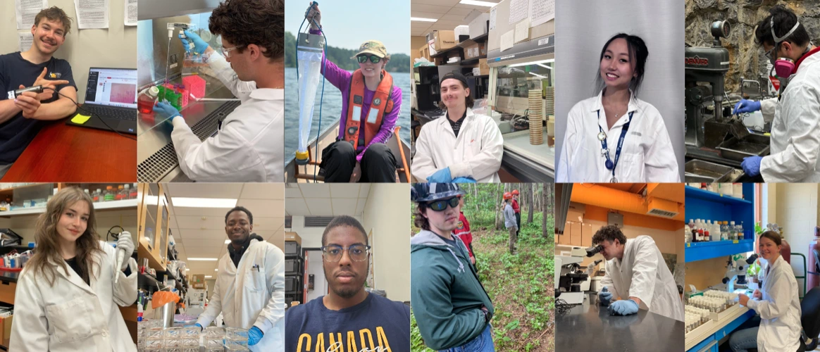 A 2-row photo collage featuring 12 undergraduate research award recipients ordered from top-left to bottom-right (matching the news release order), showing each student participating in various lab and field research environments, including chemistry labs, lakes, forests, and computer workstations.