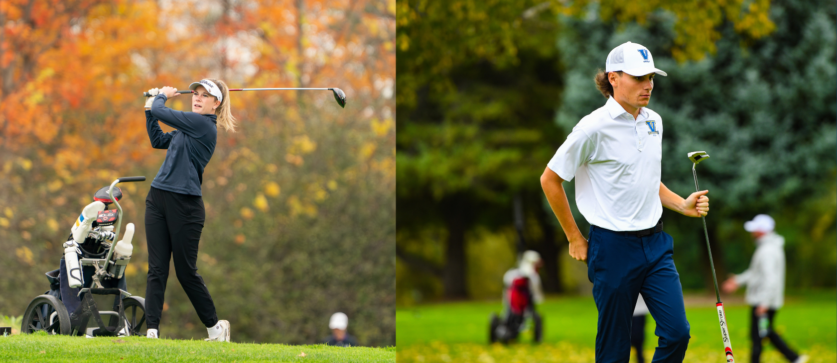 A side-by-side split image featuring two Laurentian Voyageurs golfers on a course during autumn. On the left, Vanessa Paterson in dark athletic wear, a visor, and a ponytail follows through on a driver swing against a backdrop of colorful fall foliage. On the right, Ethan Mulligan in a white Voyageurs polo shirt, blue trousers, and a white branded cap walks across the green carrying a putter.