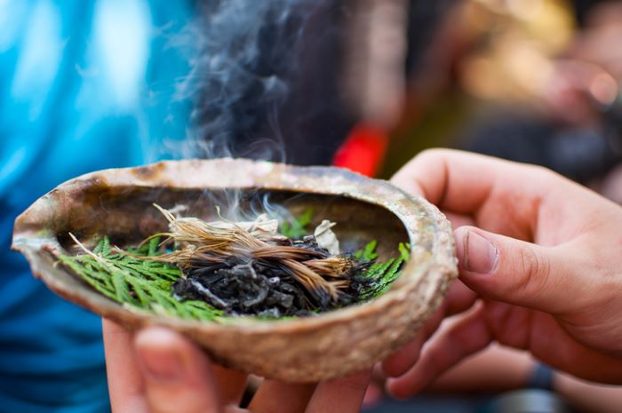 Sacred medicines are being burned in a shell during an Indigenous ceremony.