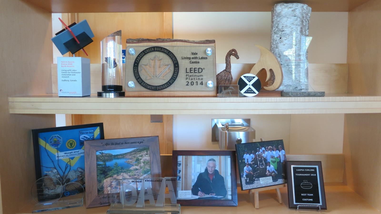 Shelves with pictures and awards