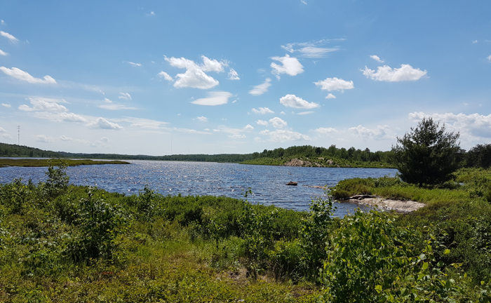 Une vue du lac Laurentien du rivage avec un ciel bleu et ensoleillé.