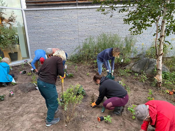 Des étudiants, professeurs, et membres du personnel plantant de nouvelles fleurs et arbustes dans le jardin des pollinisateurs.