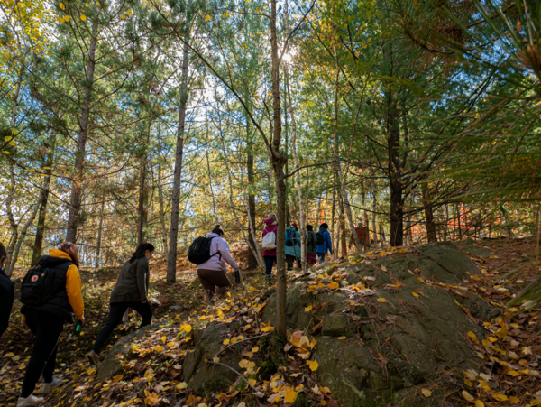 People walking on trail surrounded by tress