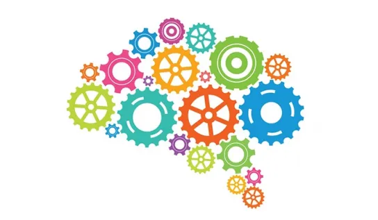 Various multicoloured gears in the shape of a brain.