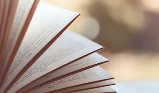 pages of a book fanned out