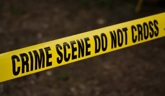 Explore the dynamics of victims, criminals.