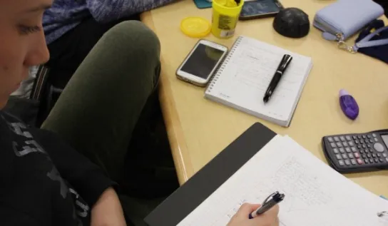 Analyze data, research trends, and evaluate economic issues.