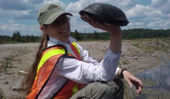 Dr. Jacqueline Litzgus doing field work and holding a turtle in her hand