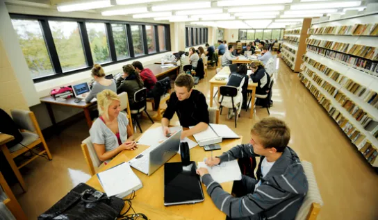 Students studying in the library