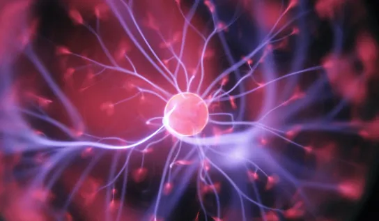 A neuronal cell body