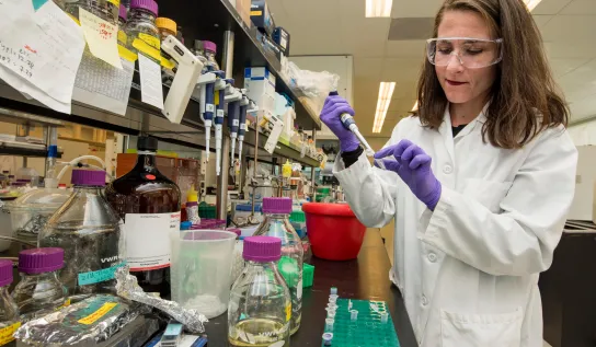 A student working at a science lab bench with various substances