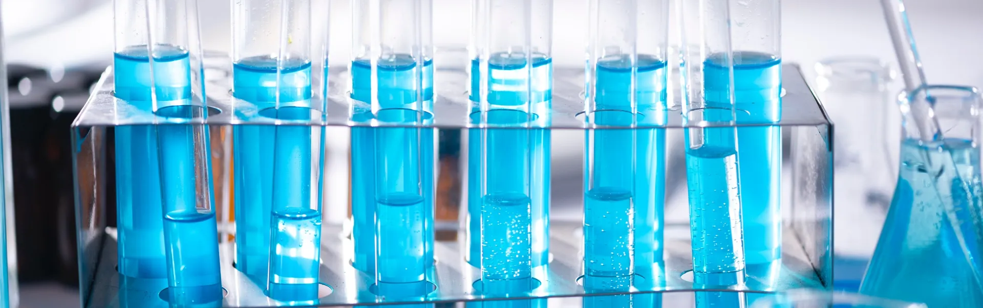 Des tubes à essai remplis d'un liquide bleu placés dans un support pour tubes.