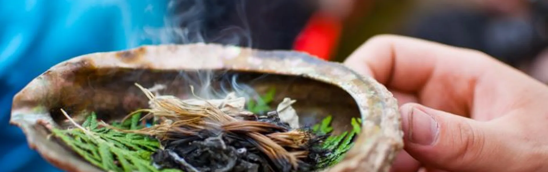 Sacred medicines are being burned in a shell during an Indigenous ceremony.