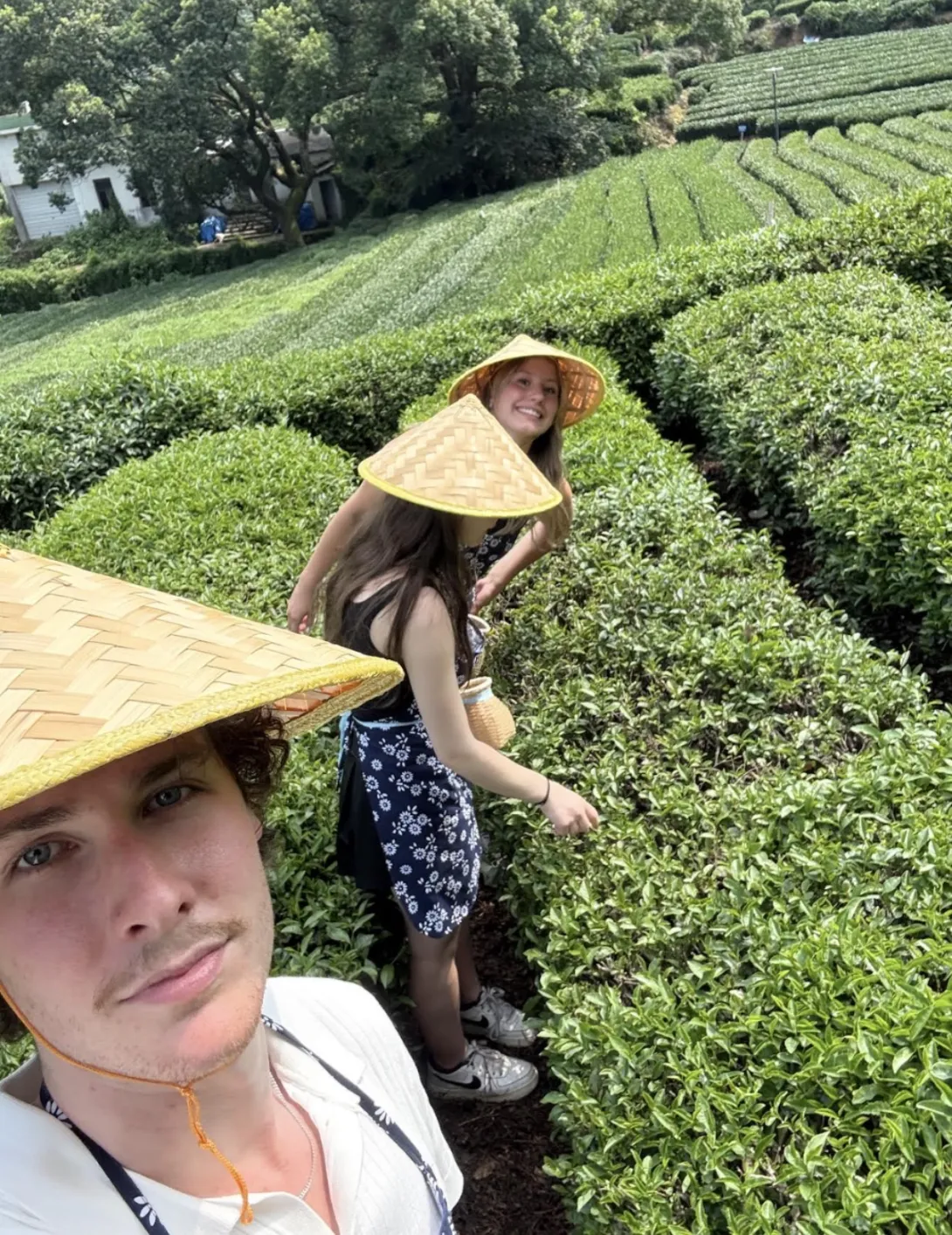A vibrant, high-angle outdoor selfie taken by Paul Petitclerc at a lush, terraced green tea field in China. Paul is in the lower-left corner looking toward the camera, wearing a traditional woven bamboo conical hat. Two other female students wearing matching bamboo hats are seen behind him, smiling and picking tea leaves along the rows of green bushes.
