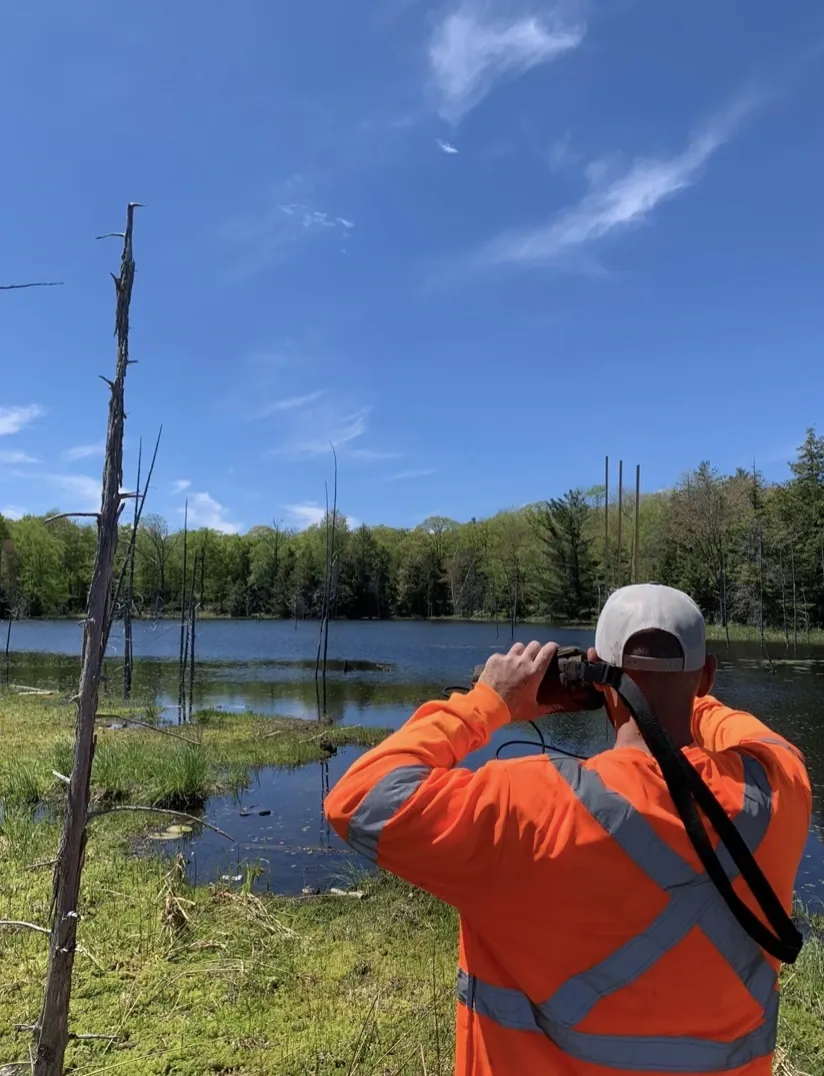 Rear view of biologist Aidan Maloney wearing high-visibility orange safety gear, conducting radio-telemetry to locate a tracked turtle over a serene wetland lake under a clear blue sky.