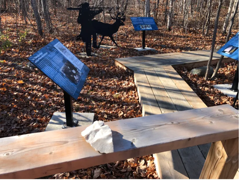 In the foreground, a rough piece of light-colored quartzite stone sits on the wooden handrail of a boardwalk. Behind it, an educational sign titled "The 'Habitation Area' and the Paleoindian Artifacts" stands next to the path, with a black metal silhouette sculpture of a hunter aiming at a caribou positioned among the autumn trees in the background.