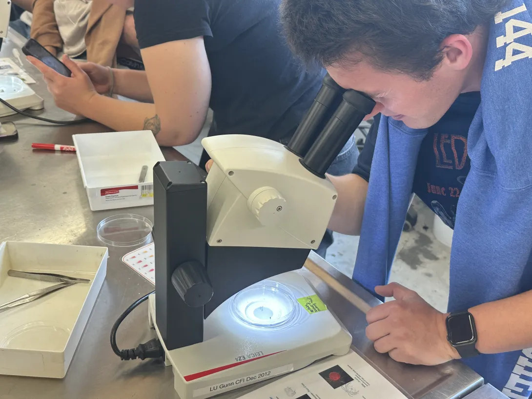 An OYEP participant looks through a microscope during a hands-on science activity, examining a specimen in a Laurentian University laboratory.