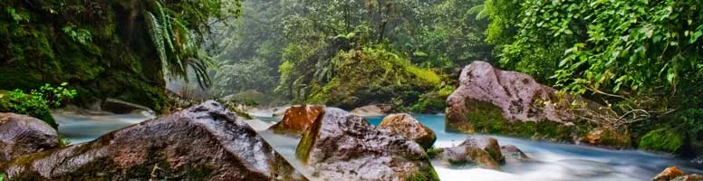 Rocks in a river
